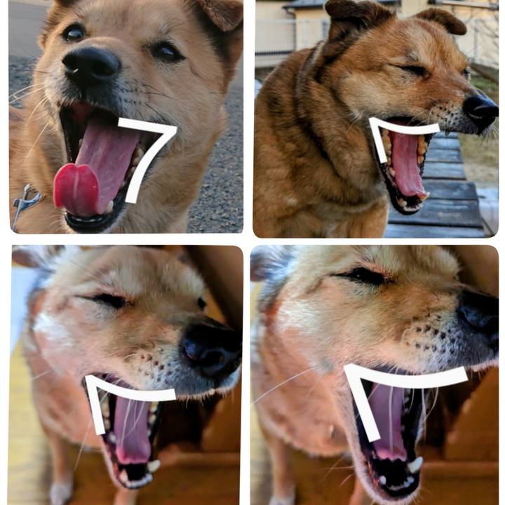 8c3eb863 7f5f 40c9 a257 d2b7809b9935 1688129110542