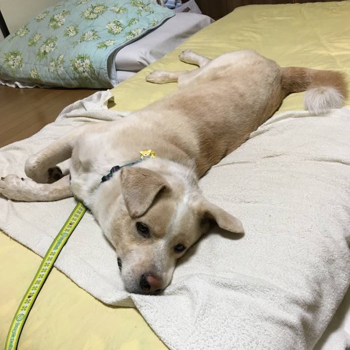 8c3ee1e6 ce8f 4621 9451 2a08a09bd2ab 1531927584187