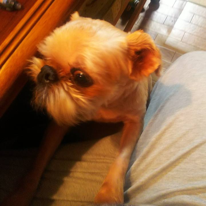 8c3f0215 5815 4aa8 a6e9 bdad05a23a5e 1593164284115