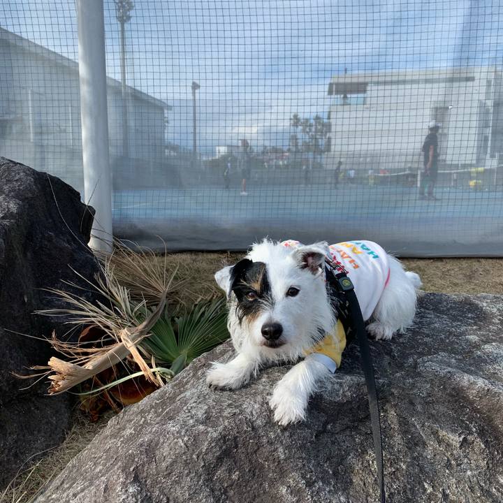 8c3f1c13 64a5 4d32 924e 5999fbdf5ed8 1702691776759