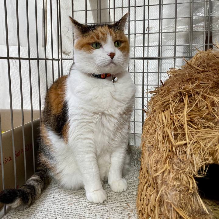 8c3f2440 18ea 4682 8193 94b0fb10aab6 1576247053622