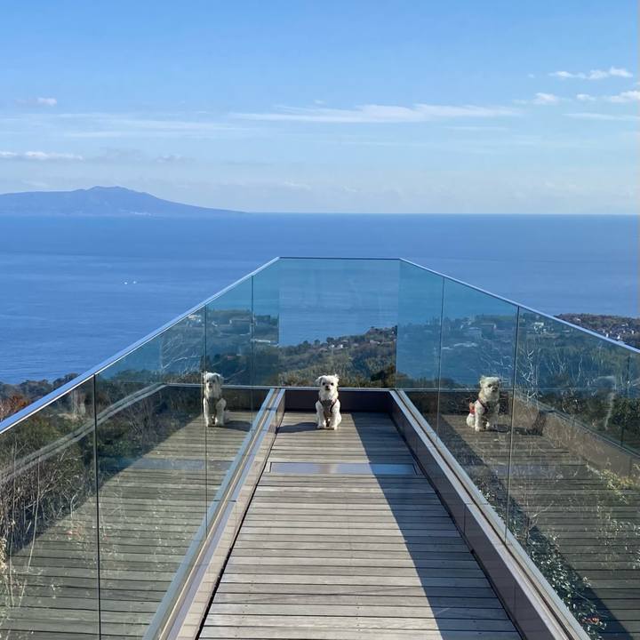 8c3f376d 4604 483d 9be5 209b76862f2b 1675594965513