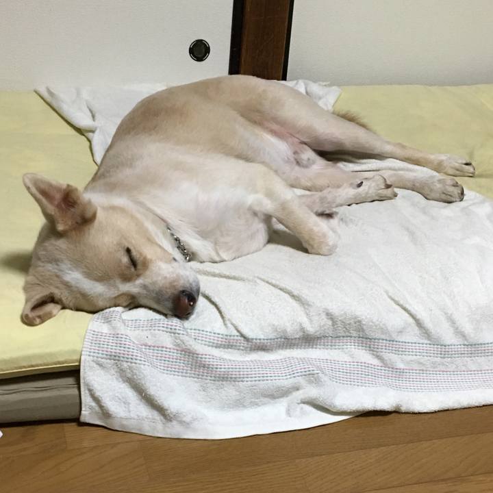 8c3f6814 06c3 46e6 87db ae43bebf0c97 1540721546382