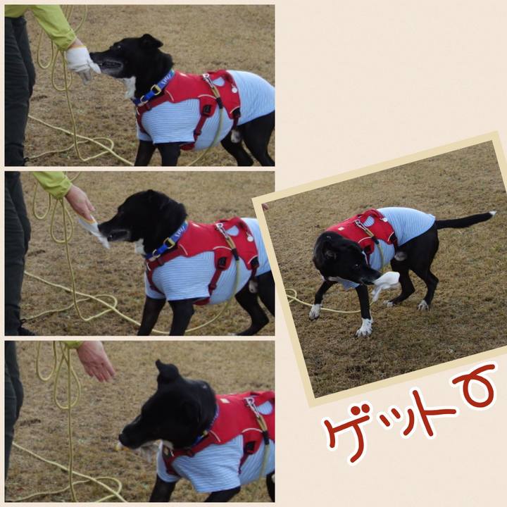 8c3f6d34 d296 4f78 8754 c16a48d91309 1670719738712