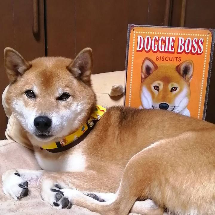 8c3f7ca8 11d5 4559 b180 60a8b3127939 1603620977710