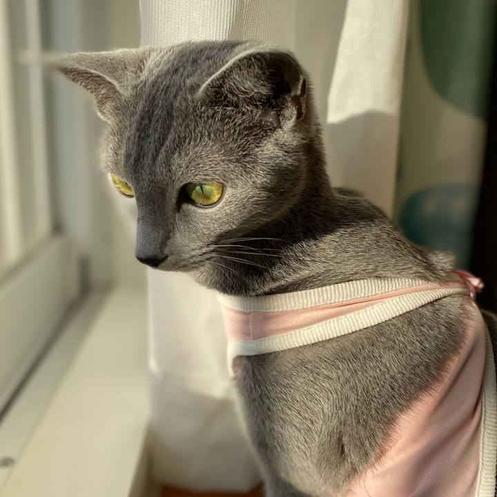 8c3f9174 8894 4b84 8e51 eb7ac8822159 1608852235552