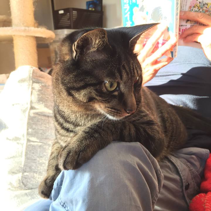 8c3f98d9 5abf 4de5 a6e5 7ff8080a353d 1509491362643