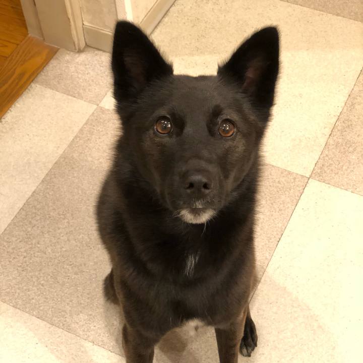 8c3f9f58 ad14 434a 98dd 58b0bbd0a66b 1541423072069