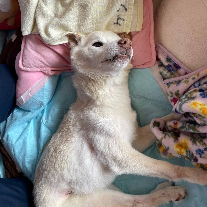 8c3fdaf5 8acc 43fa 8e8c 1a99f35c10e7 1678715737806