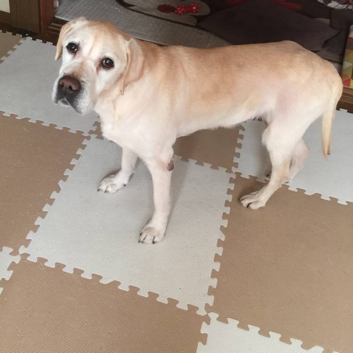 8c3fefd5 1960 4d3f 8506 ab9db57d5c9d 1522014228990