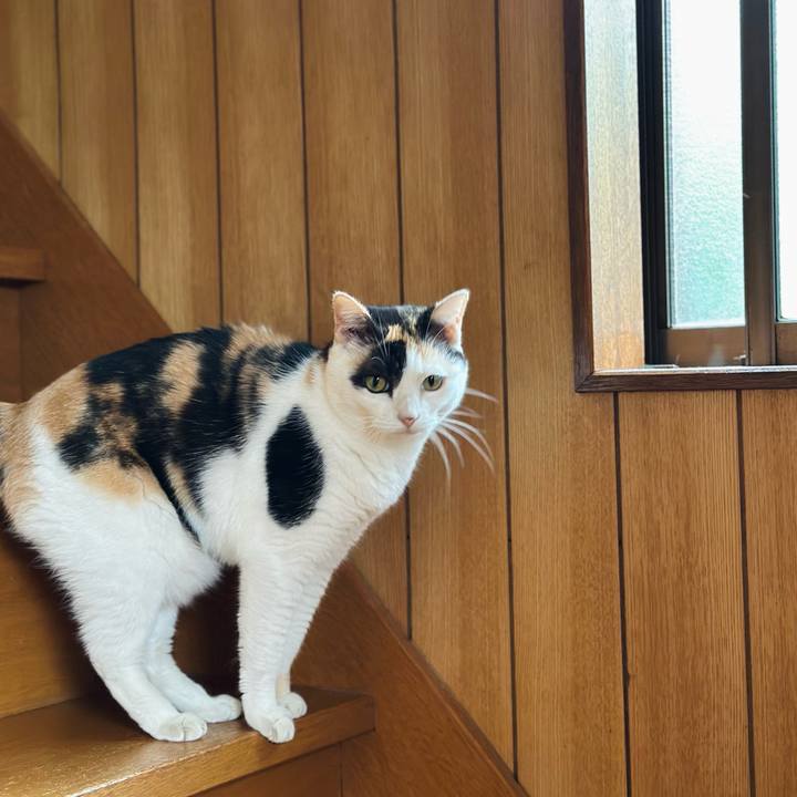 8c4011a5 f6c1 48a6 b88c a893dd3e48f3 1728006189664