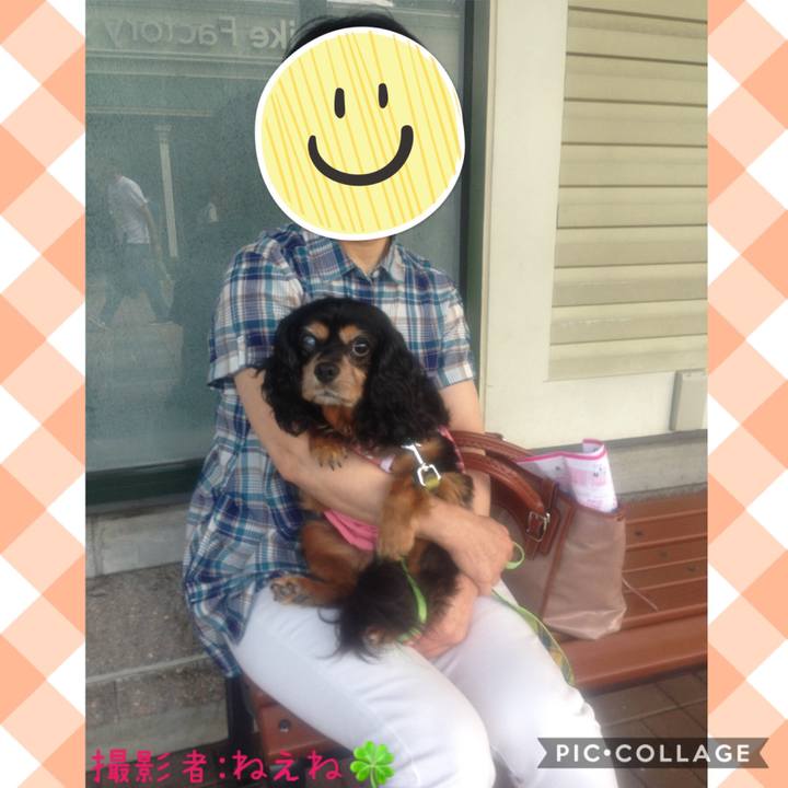 8c404284 99c3 4750 bf4e 7852be04c047 1590047775067