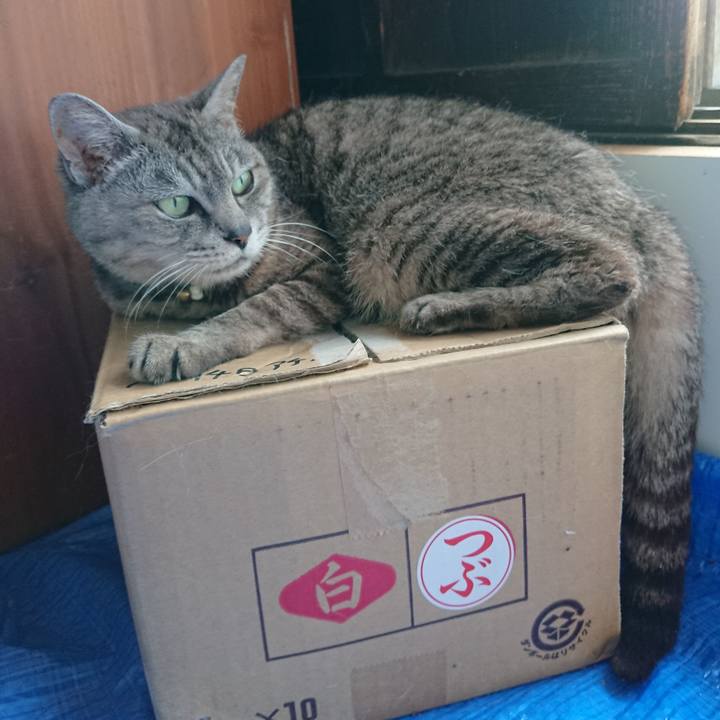 8c4089b9 a306 4785 98c3 f30cab68cd19 1565392884776