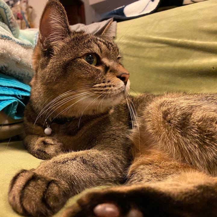 8c409c28 1691 4d6e 9926 ba7f8a791435 1669297060781