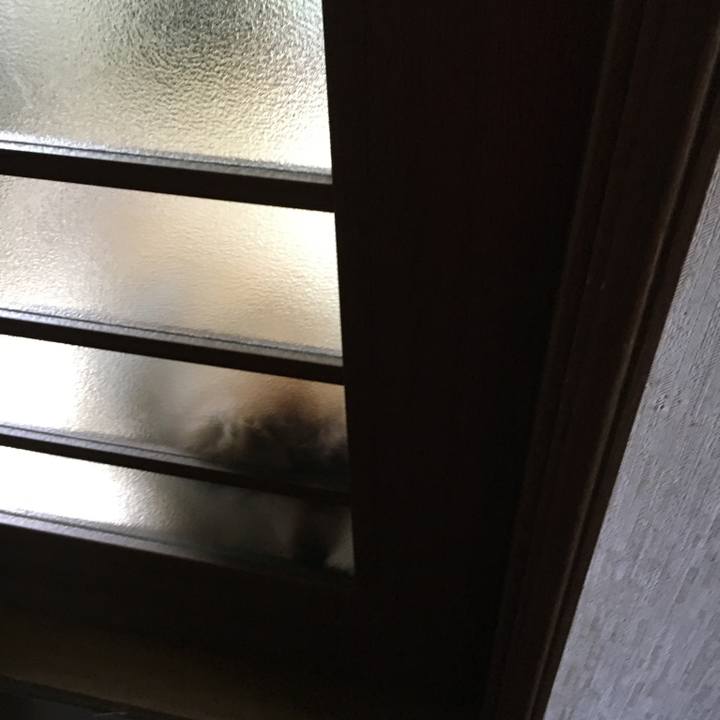 8c40b6c8 cba2 46ba bbc4 928d943e95fd 1564453498710