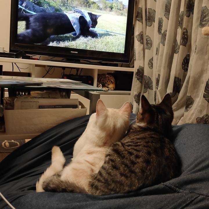 8c40e0e4 344b 4904 bc33 51e3e31b56be 1636549998152