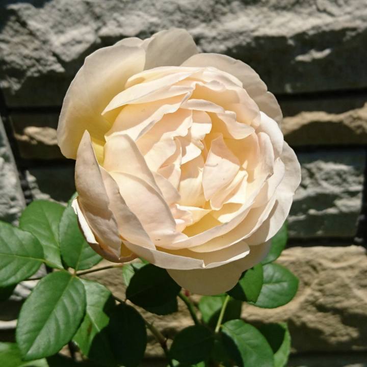 8c40fb21 861f 4b0f b021 4e7ca3a6fd75 1529196570396