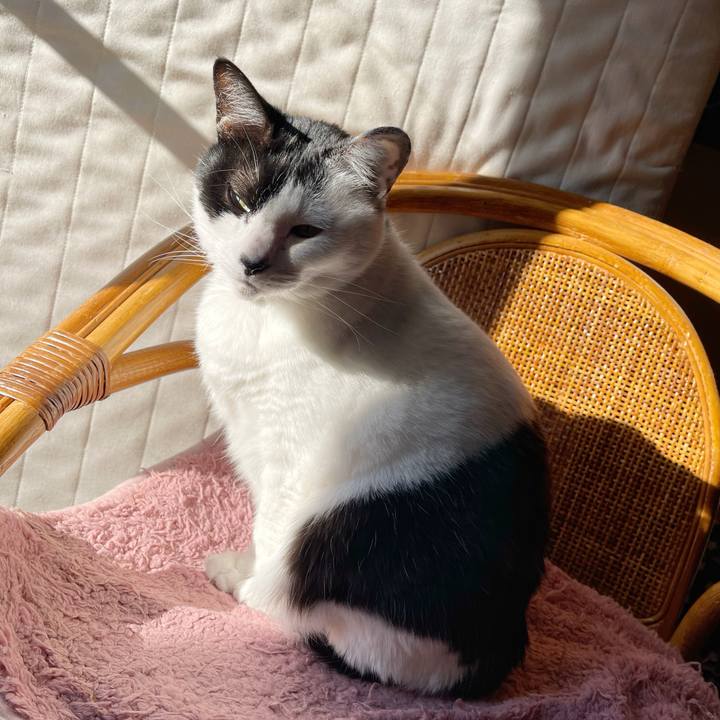 8c4149c9 2176 4e91 abb5 b0276e148823 1766893861932