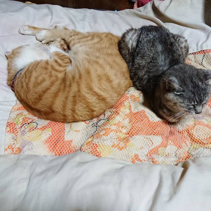 8c41d168 fba6 4d85 905c 19757e816f12 1567429624189