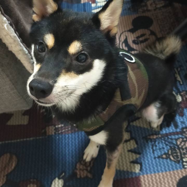 8c41dd86 1765 4569 a0b5 ef365be7cb71 1597805732524