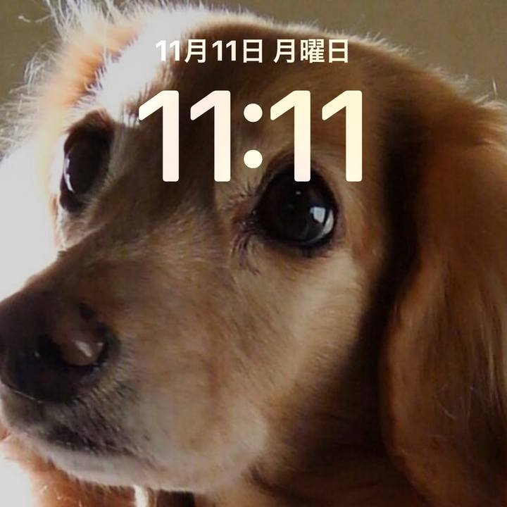 8c41f745 97f5 44e4 a565 65248d477d01 1731291220899
