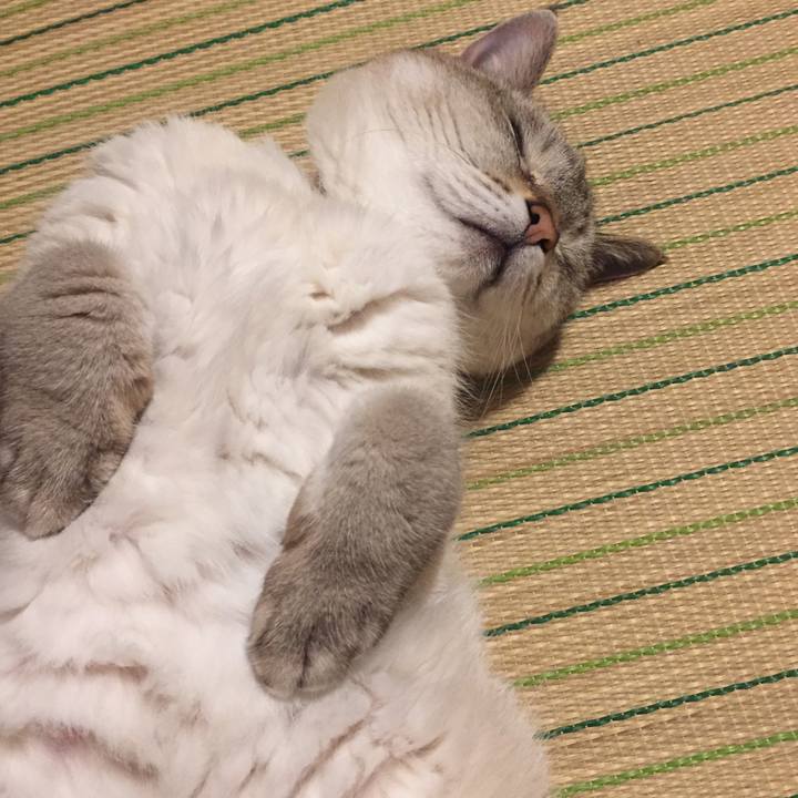 8c41f8cd 2c7b 43a4 821d 84382b363d78 1561725487855