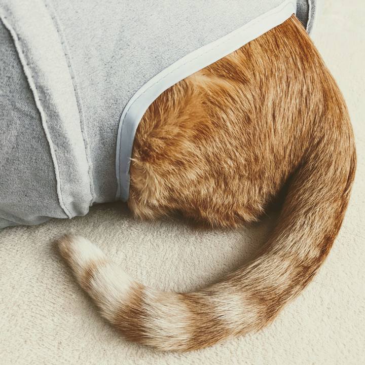 8c421b47 31a4 4766 bd24 99271756aea6 1651718471753