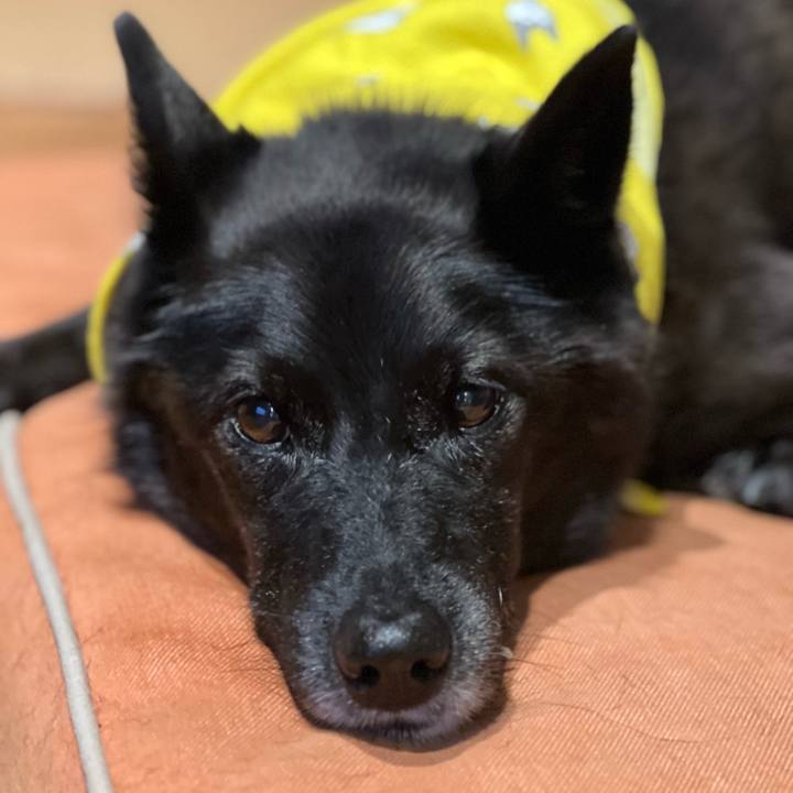 8c423f36 cbe9 4fd2 b3d9 b516a5915694 1762819404092