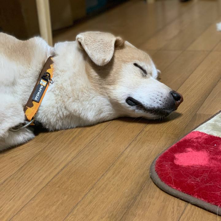 8c423f56 5b0e 4bd1 88fa a468b8df12da 1602598611997