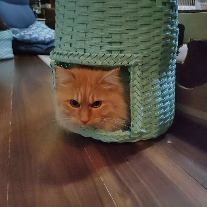 8c425593 a5e0 420d 85ec d8a83e95f6a3 1710337806327