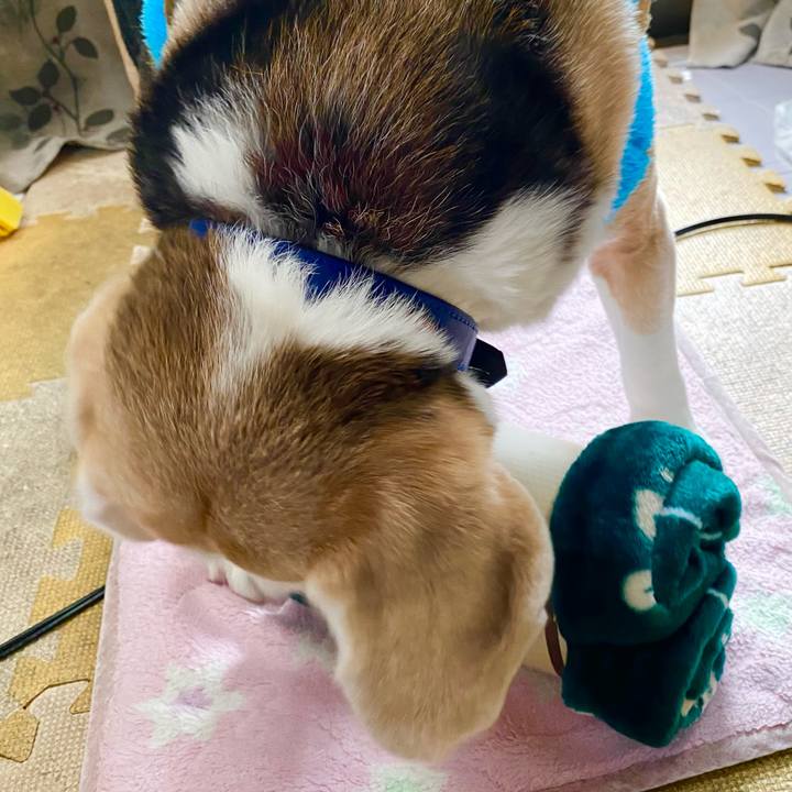 8c425883 0455 4cd3 87bd f374bce63d34 1613102267140