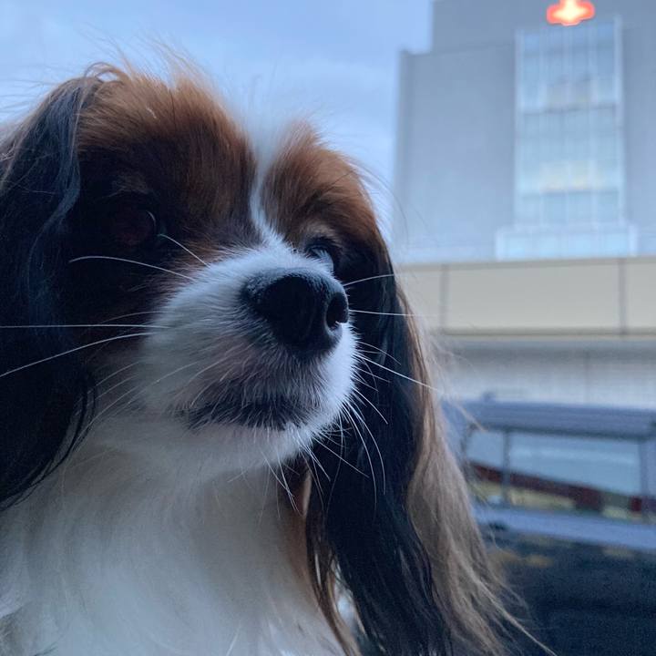 8c425b08 5c08 4573 9610 e3c11c9f9f6b 1633341634193