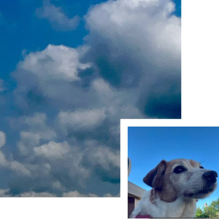 8c42685e 9ea8 4740 bd12 d1ad8526a3b7 1746350663391