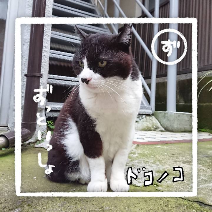 8c42a853 f3bf 4c63 928f 7f00276ee54a 1686016397041