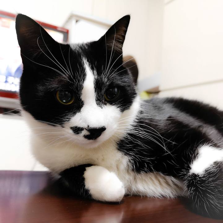 8c42b743 8ae9 434e aeda be0e661ba543 1553272557513