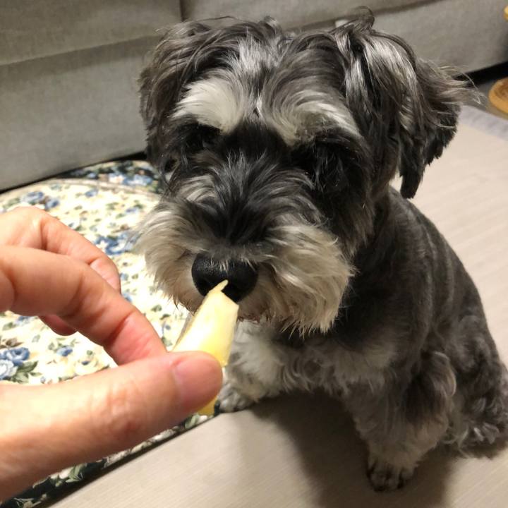 8c42c46f cfe2 4daf 893b 9c2d4075304f 1634556978845