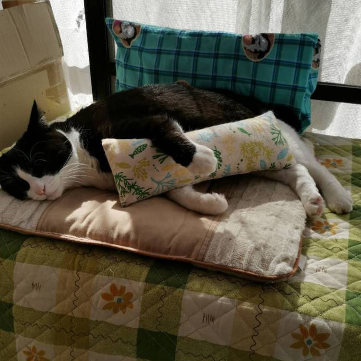 8c42d6e0 519b 4f62 a928 0c1288fb6b3a 1698723419700