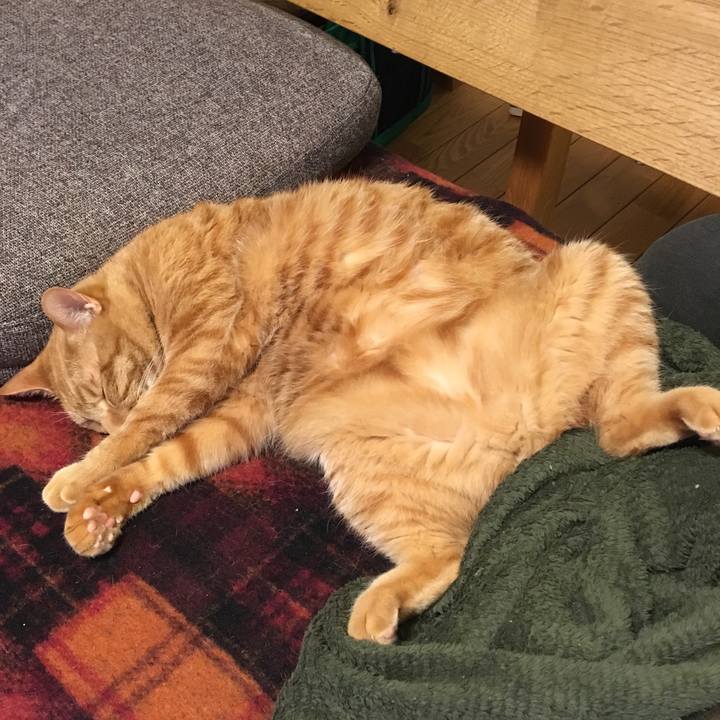 8c42e06f ce7e 4fb5 a0f8 fc4efdc90b3f 1551864459175