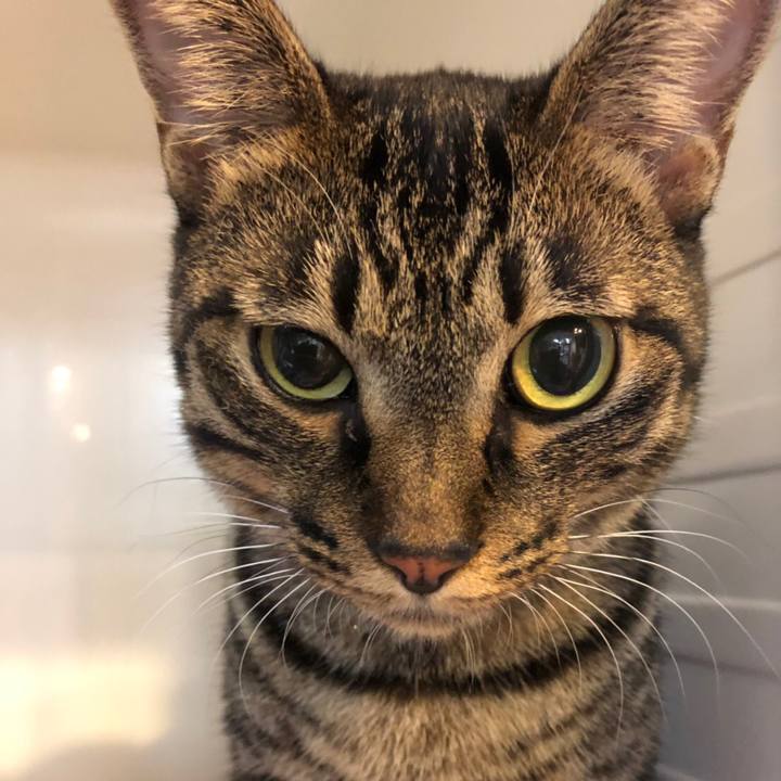 8c42ea11 43ed 422c aa72 f9f9fe2f6d0a 1568370334616