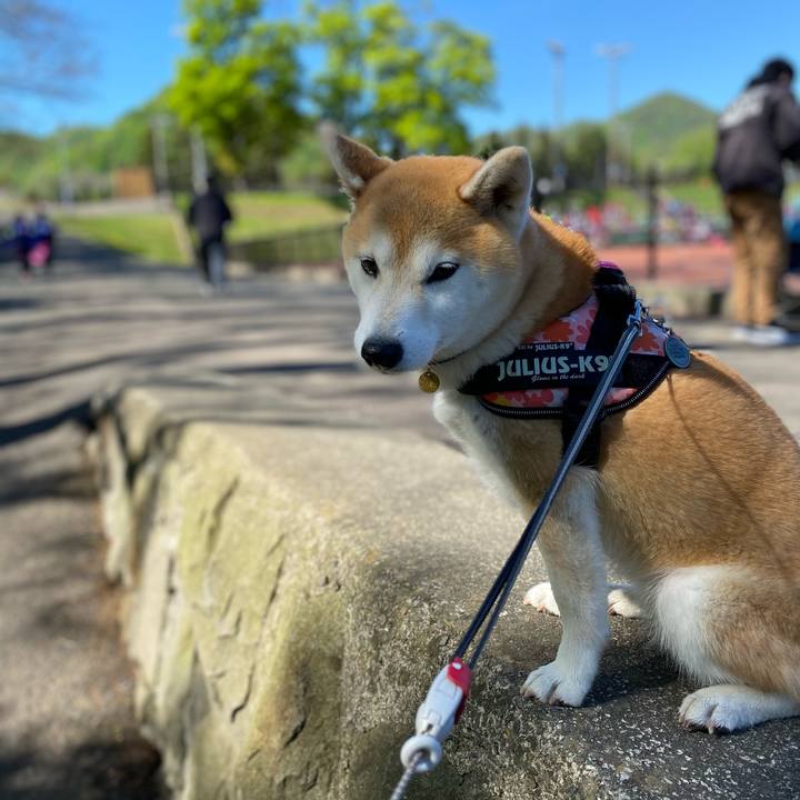 8c430aa7 f9d7 45d2 89af 99f91b9e3300 1621299119992