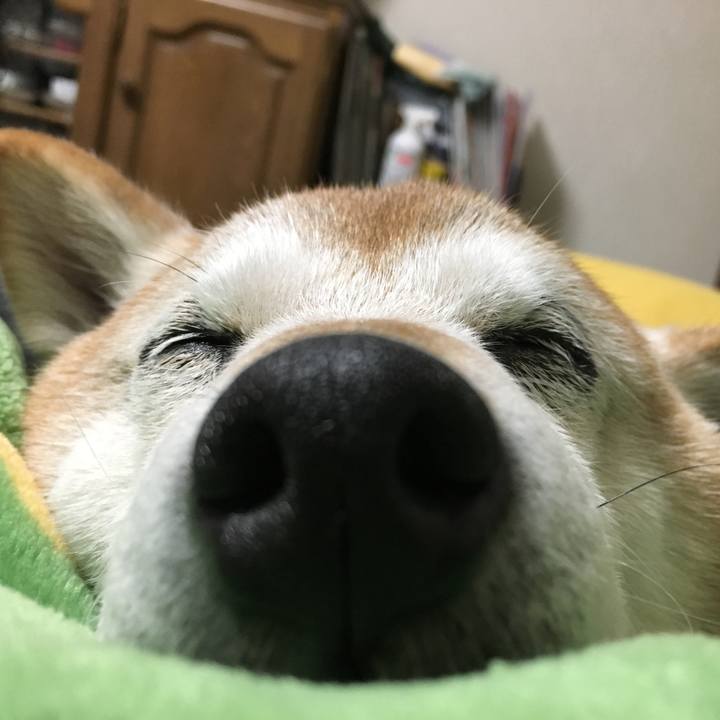 8c437401 3a06 4c2b a6a0 5bf913394a34 1526517154345