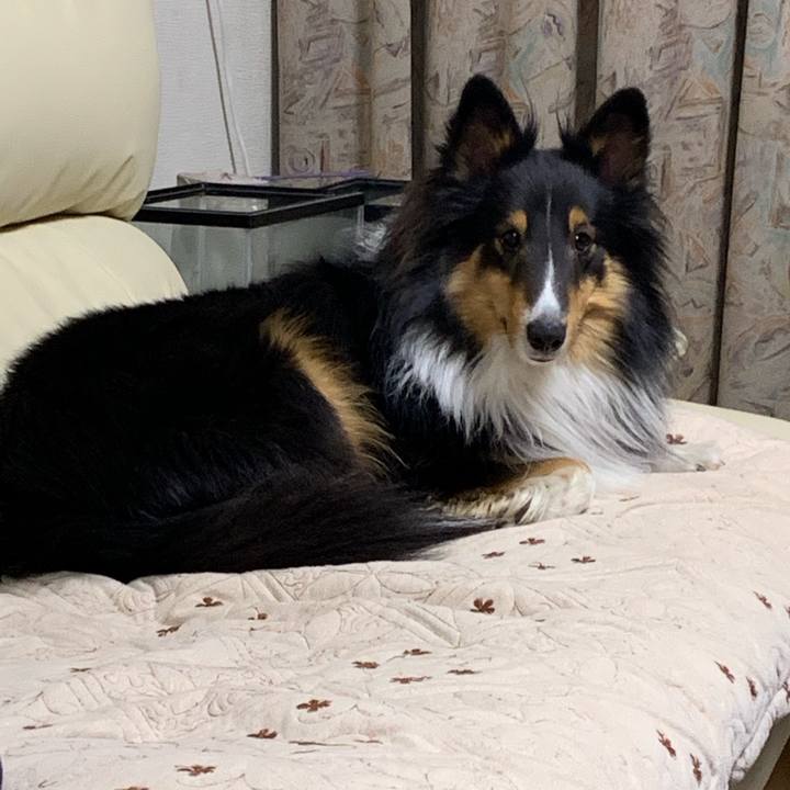 8c439335 bddc 4c50 8399 1ecfd3428bcd 1575837394549