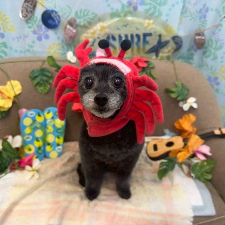 8c43a7c1 21e2 4e55 bf1e bfbd579551c4 1752979540926