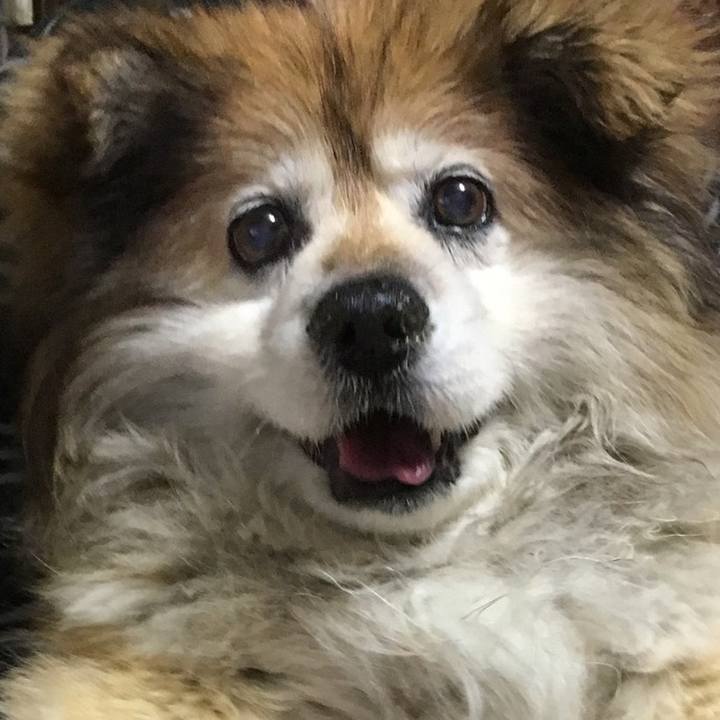 8c43cd09 5a15 4a33 8a1a 42af5bb14f56 1576027204966