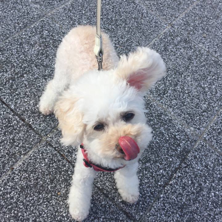 8c43cfac 5691 4530 8803 53ddf4fa305b 1533073917450