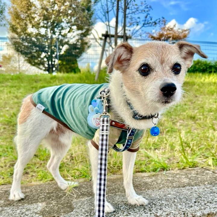 8c441ebf 5060 494e 92a6 5c6f727a8171 1697615130204