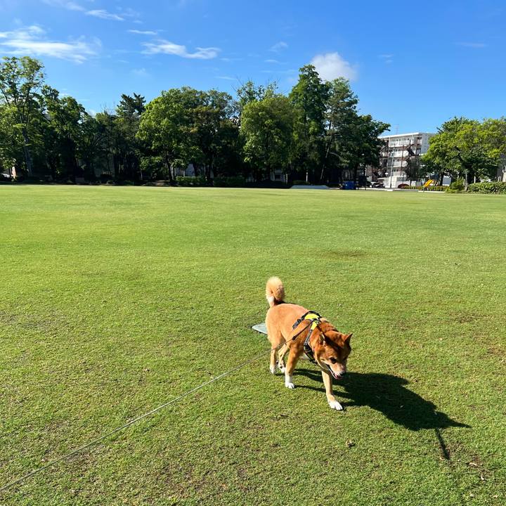 8c442081 9905 4ddc 9c8d 8e10fc453150 1749004033182