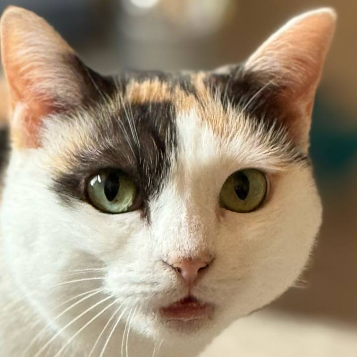 8c446fca 6b66 4752 9ccd fbcf090a2219 1752890559433