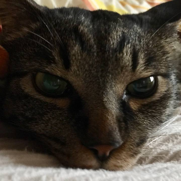 8c448adf 66c0 41d5 a42c 494a416e7e9a 1635084578988