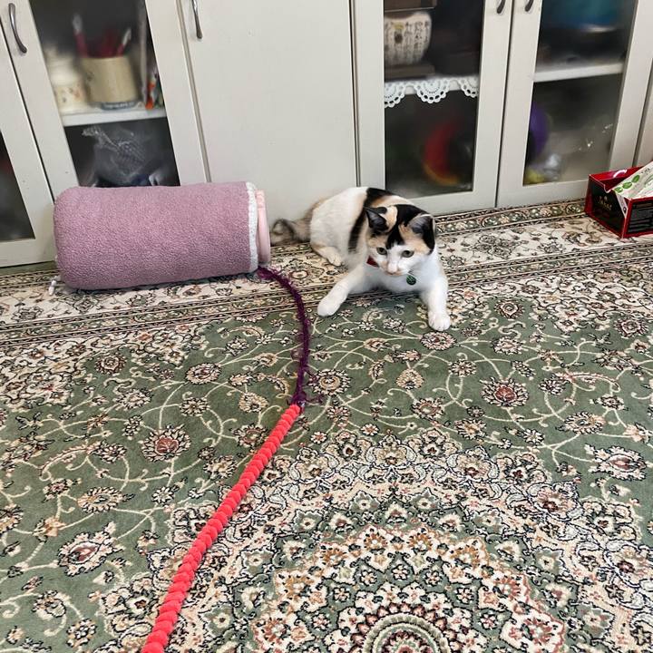 8c44a111 efb5 4597 b367 3533f77a01b1 1720908933865